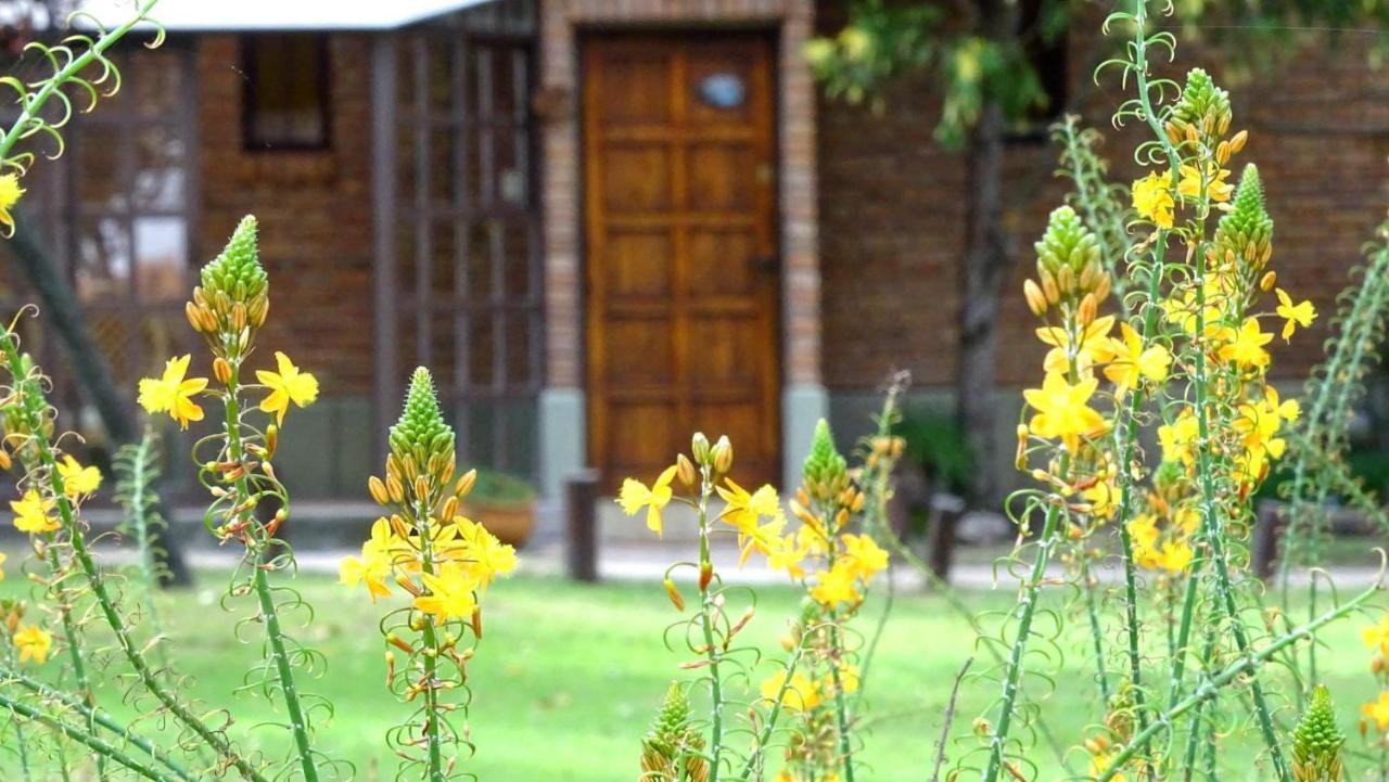 Cabanas Agua Que Brilla Mina Clavero Dış mekan fotoğraf